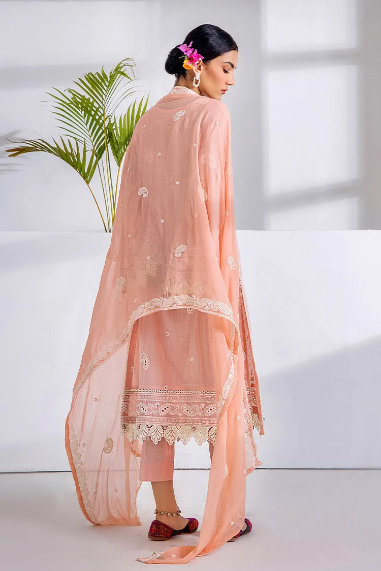Adans Libas - Gull Premium Embroidered Collection - 5251