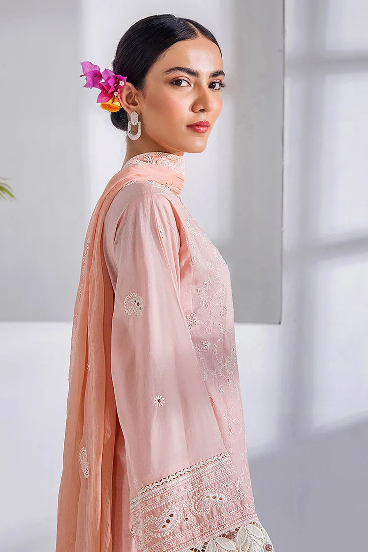 Adans Libas - Gull Premium Embroidered Collection - 5251