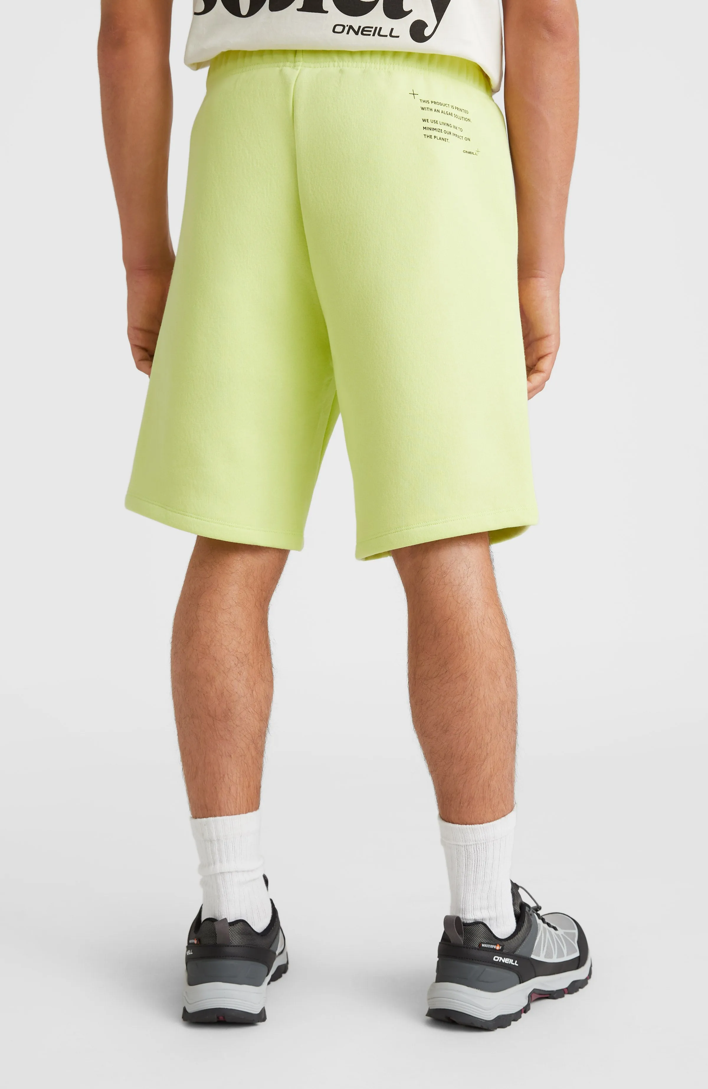Future Surf Sweatshorts | Sunny Lime