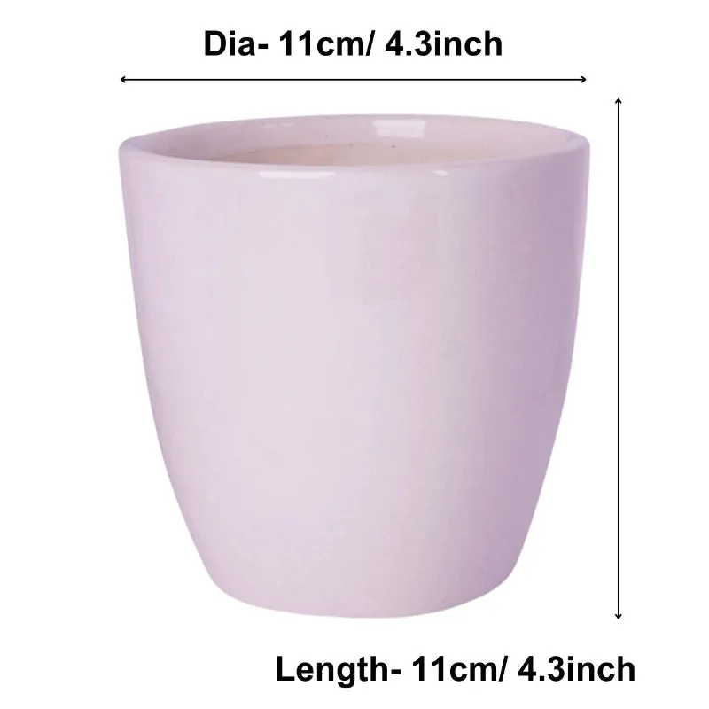 Modern Artistry Ceramic Planter Pot